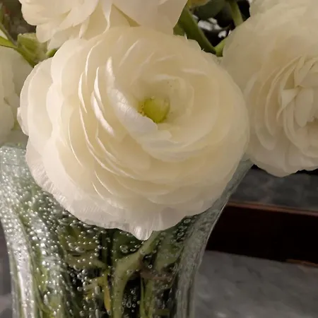 Apartmán Gavio Bari